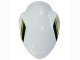 2020-2025 White Black Green Kawasaki Ninja Z650 Motorcycle Fairings UK