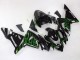 2004-2005 Kawasaki ZX10R Motorcycle Fairings - Black with Green Flame Ninja UK